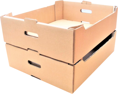 Laditza Carton